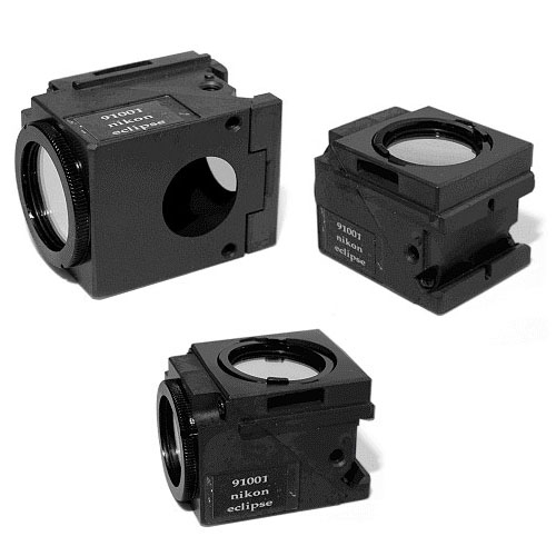 91001 - Nikon Eclipse/Quadfluor